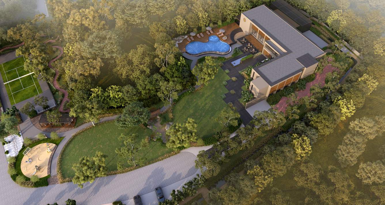 forest trails Landscape Garden and Tree Planting