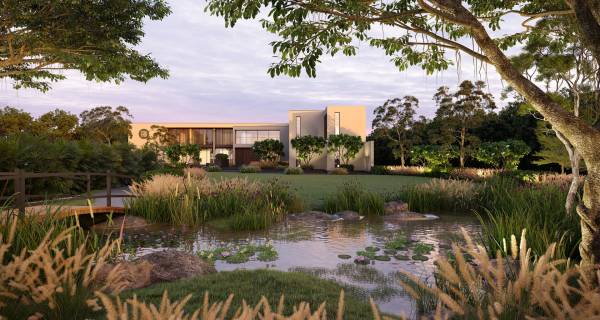  forest-trails Others