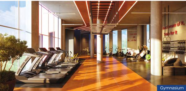  sky-phase-ii-blu Gymnasium