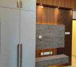 Others lions-gate Others