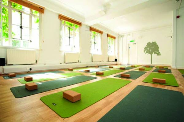  courtyard Yoga/ Meditation Area