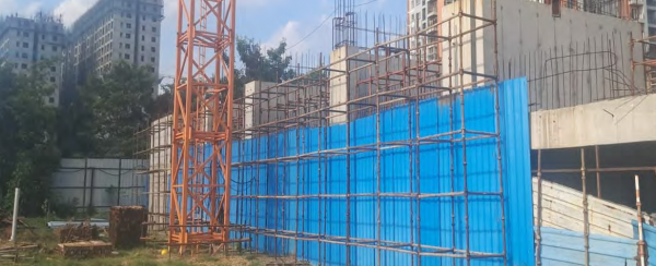  daffodils Daffodils Construction Status Sept-24