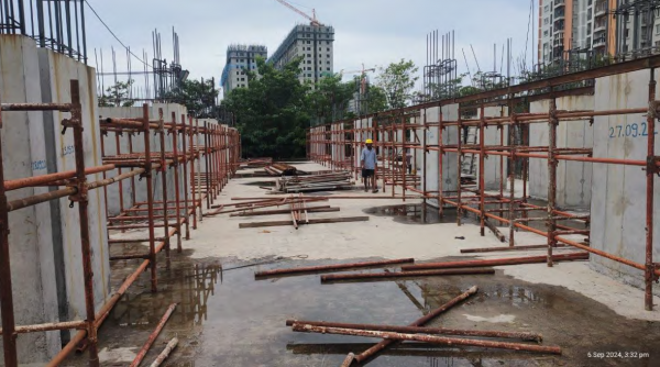  daffodils Daffodils Construction Status Sept-24