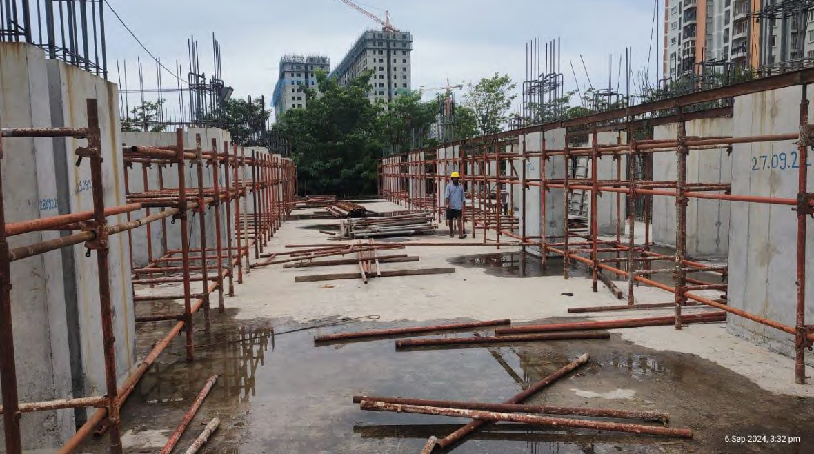 daffodils Daffodils Construction Status Sept 24