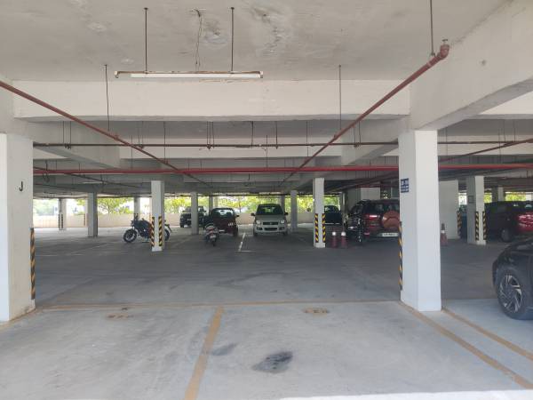  daffodils Car Parking