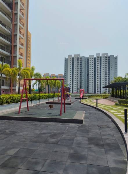  daffodils Children's play area