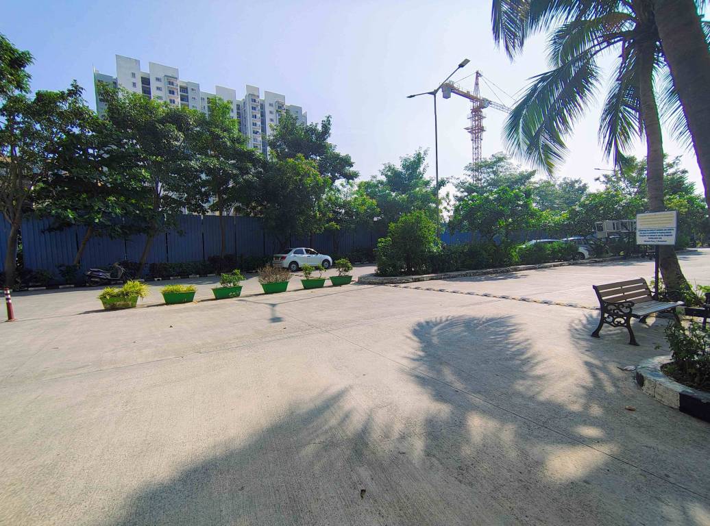 daffodils Internal Roads & Footpaths