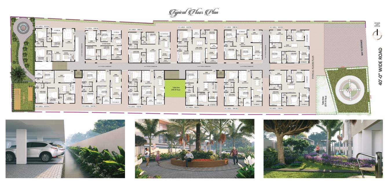  aurora Aurora Cluster Plan