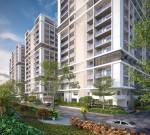 Elevation  nirvana Elevation