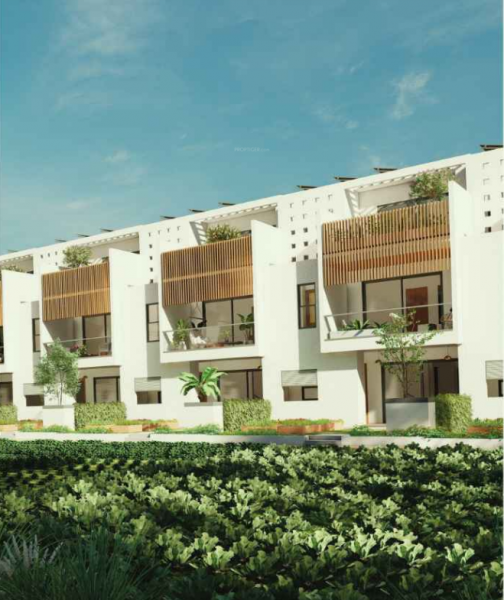  damaragidda Elevation