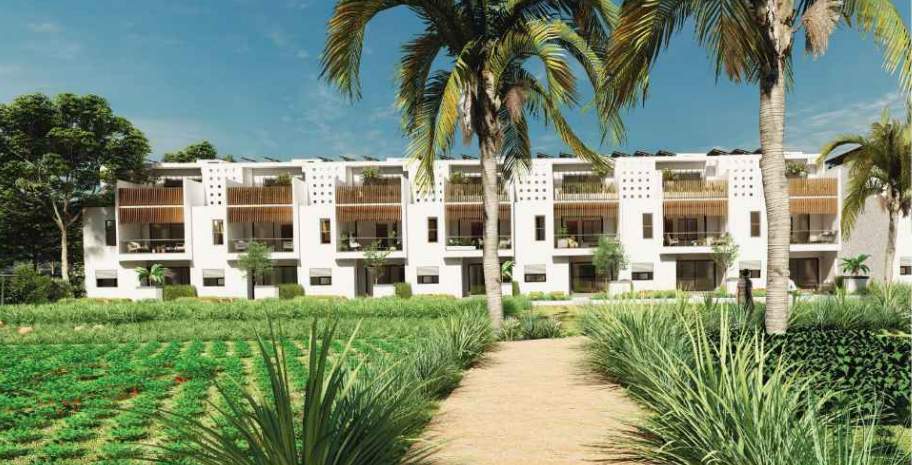  damaragidda Landscape Garden and Tree Planting