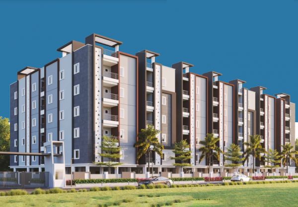 Elevation orchids Elevation