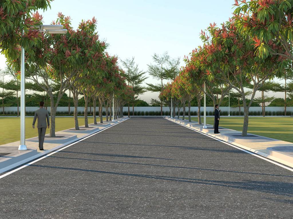  luminous vistas Internal Roads