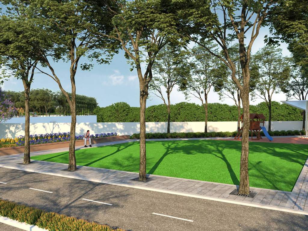  luminous vistas Landscape Garden and Tree Planting