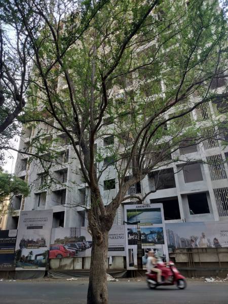  suvik-aspire Construction Status May-25