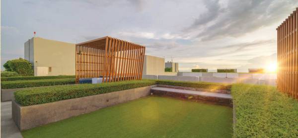  dream-gurukul Terrace Garden