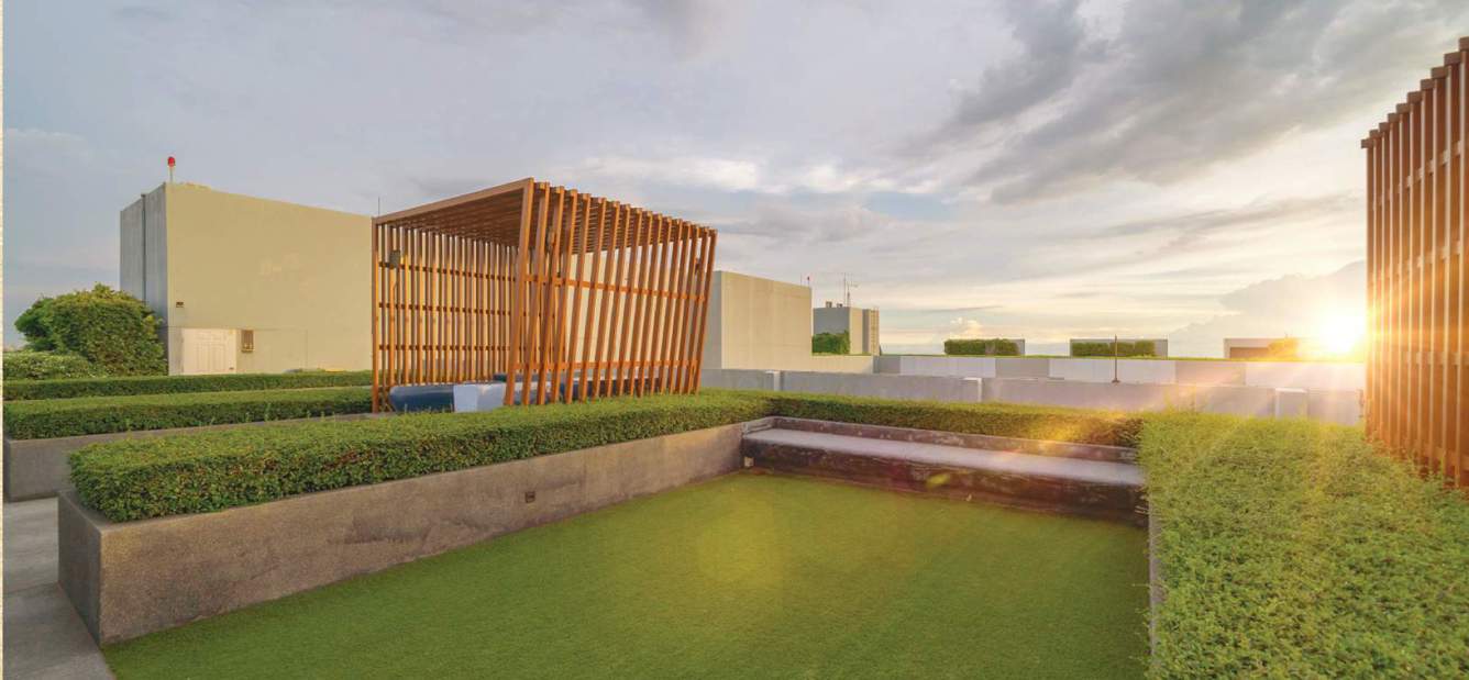  dream gurukul Terrace Garden