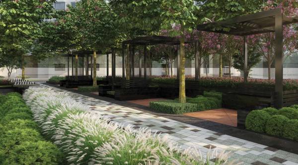  ascend-phase-4 Pergola