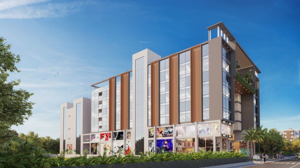 Elevation commercia Elevation