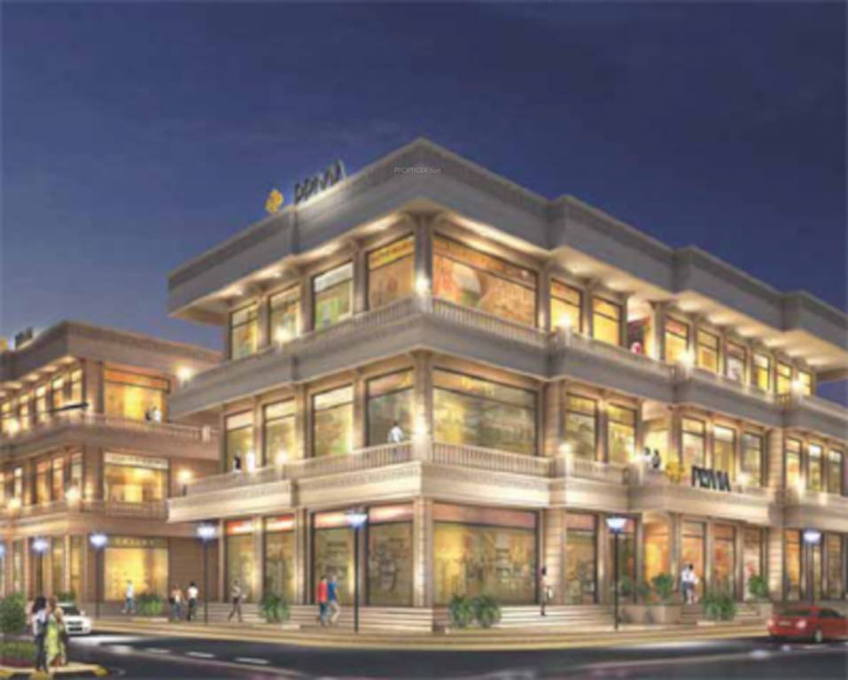 Elevation privia square Elevation