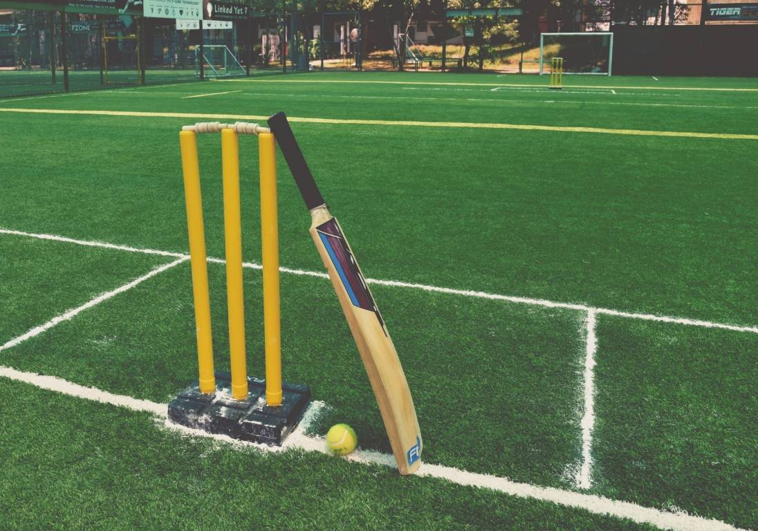  ivory orchards Others