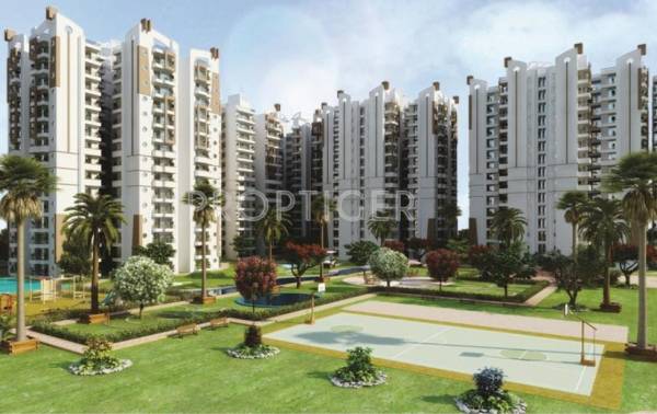 Images for Elevation of Charms India Solitaire Images for Elevation of Charms India Solitaire