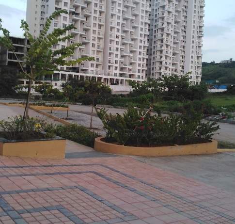  24k sereno building f Paved Compound