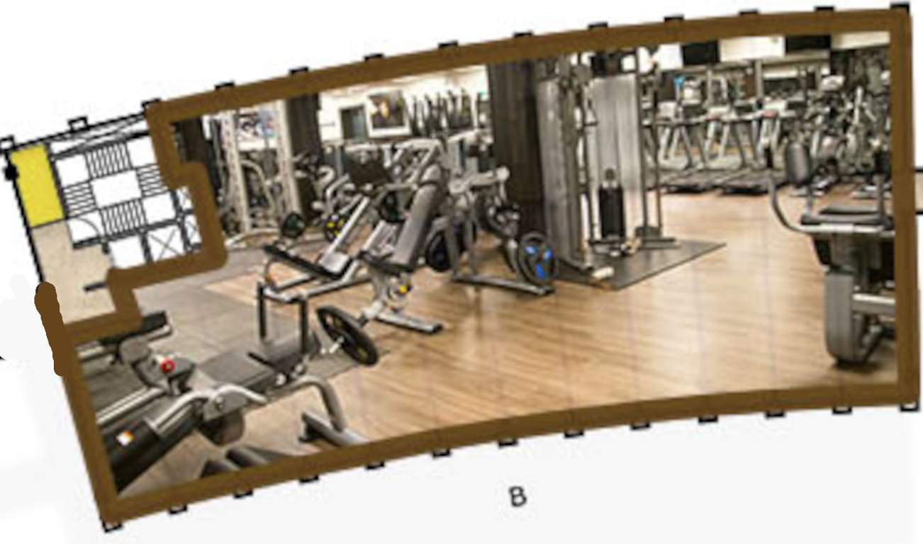 india expo plaza Gymnasium