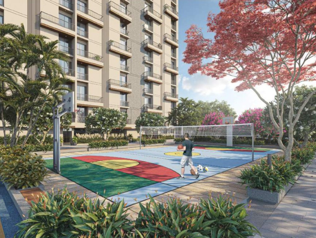  lexon Basketball Court