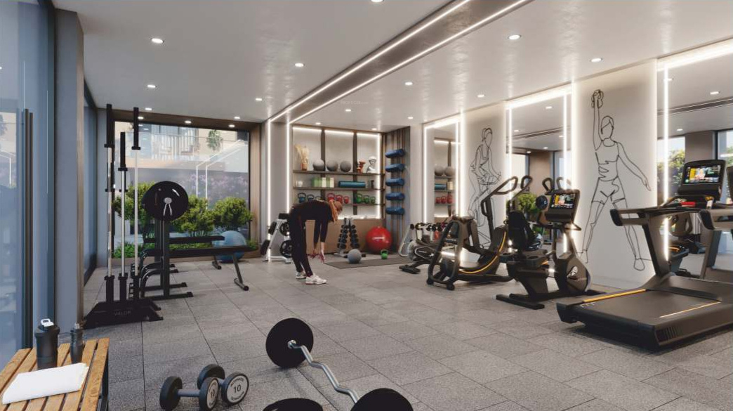  prince elegance Gymnasium