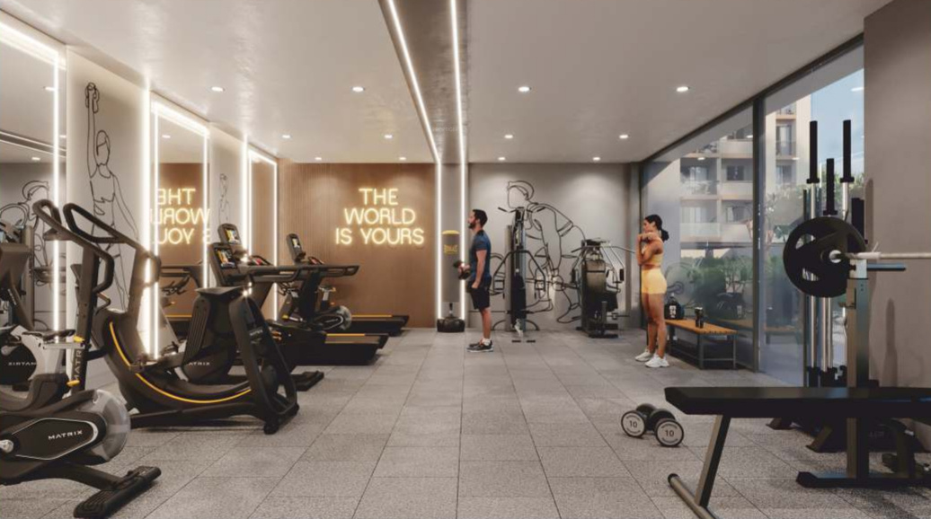  prince elegance Gymnasium