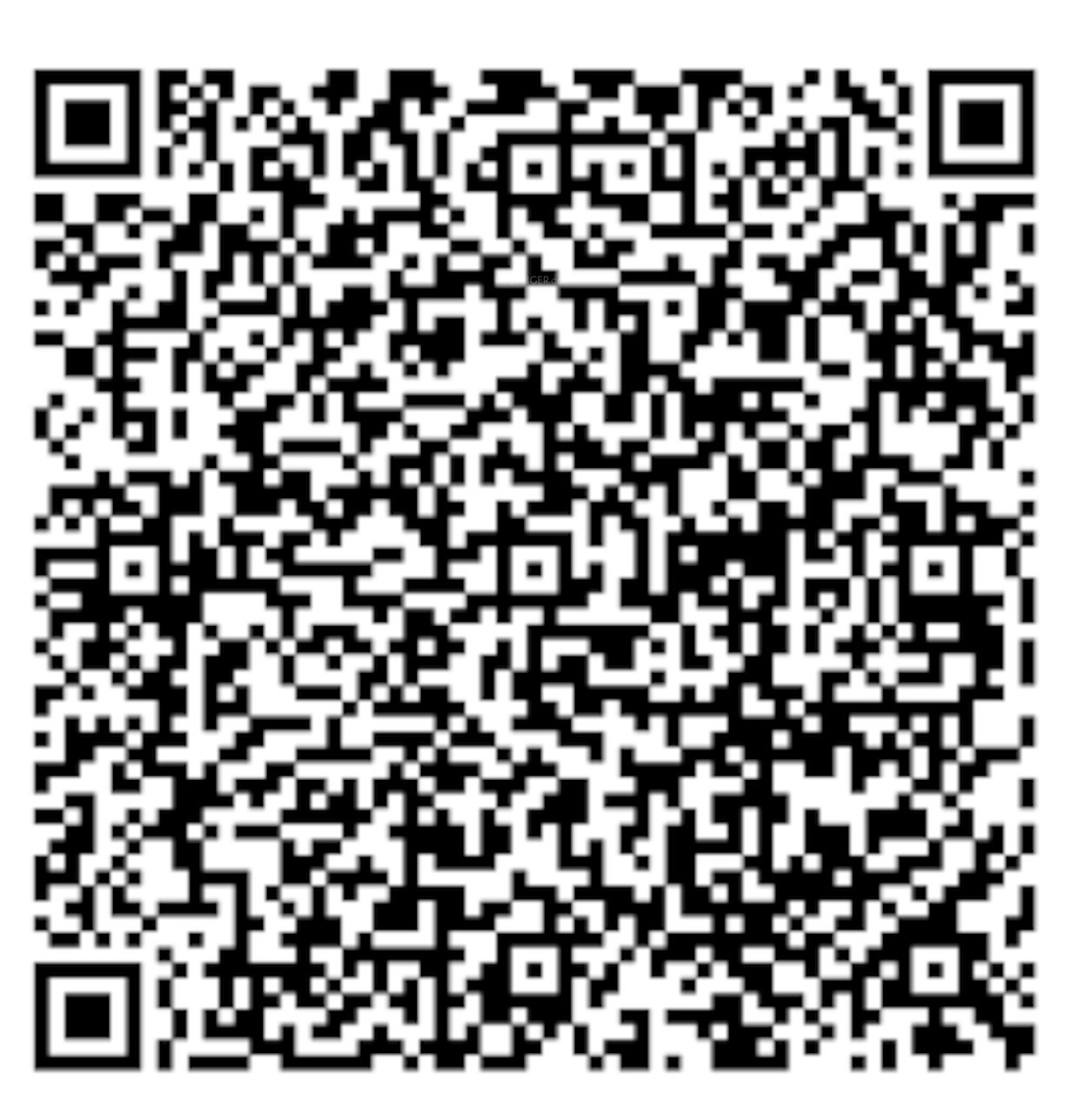 QR Image