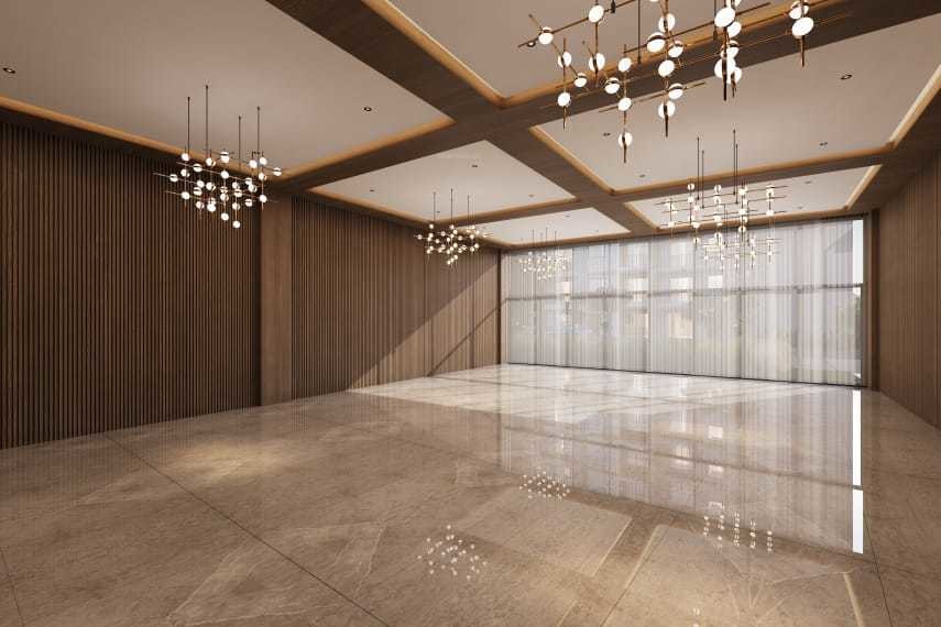  orchid salisbury Others