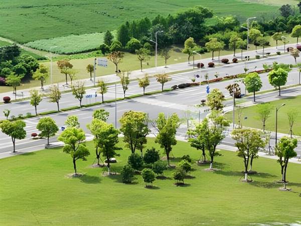  vanam-at-purva-soukhyam Plot