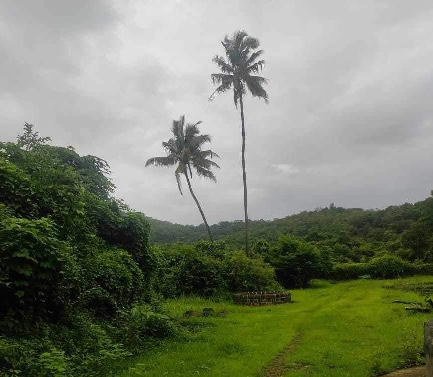 farm house plots sale in roha Plot