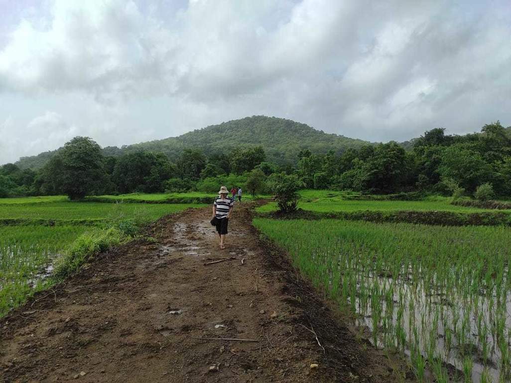 farm house plots sale in roha Plot