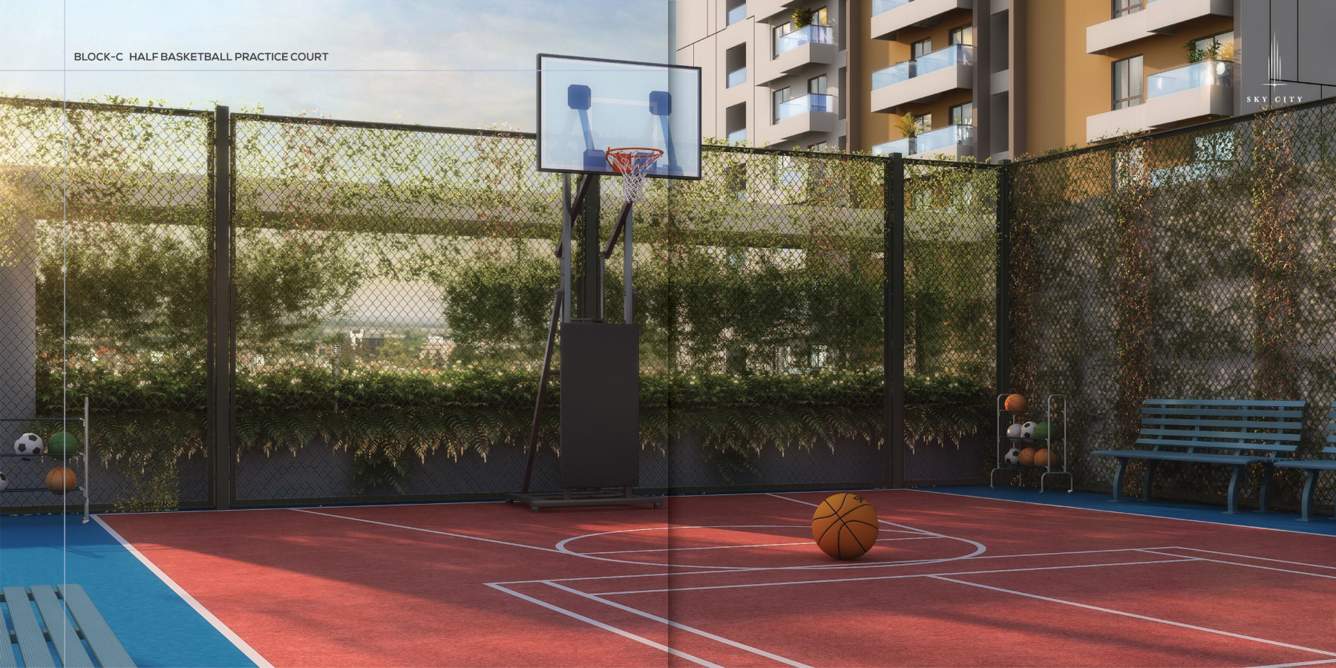 skycity Basketball Court