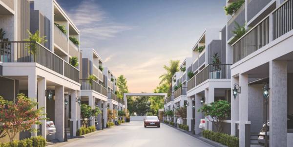  madhuvan-grace Elevation