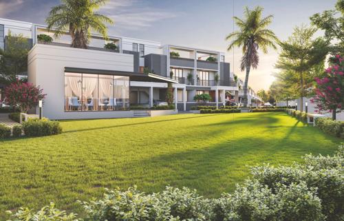  madhuvan-grace Landscape Garden and Tree Planting