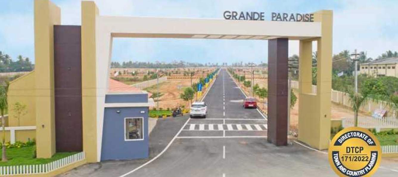 grande paradise phase iv Plot