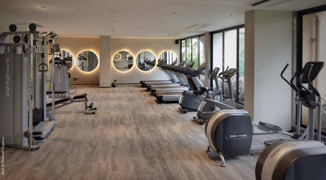  platinum mansionz Gymnasium