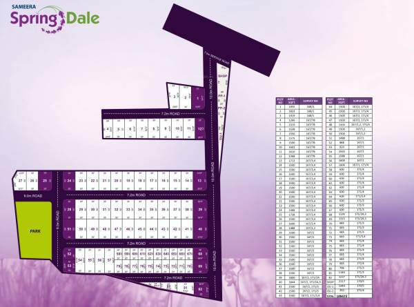  spring-dale Layout Plan