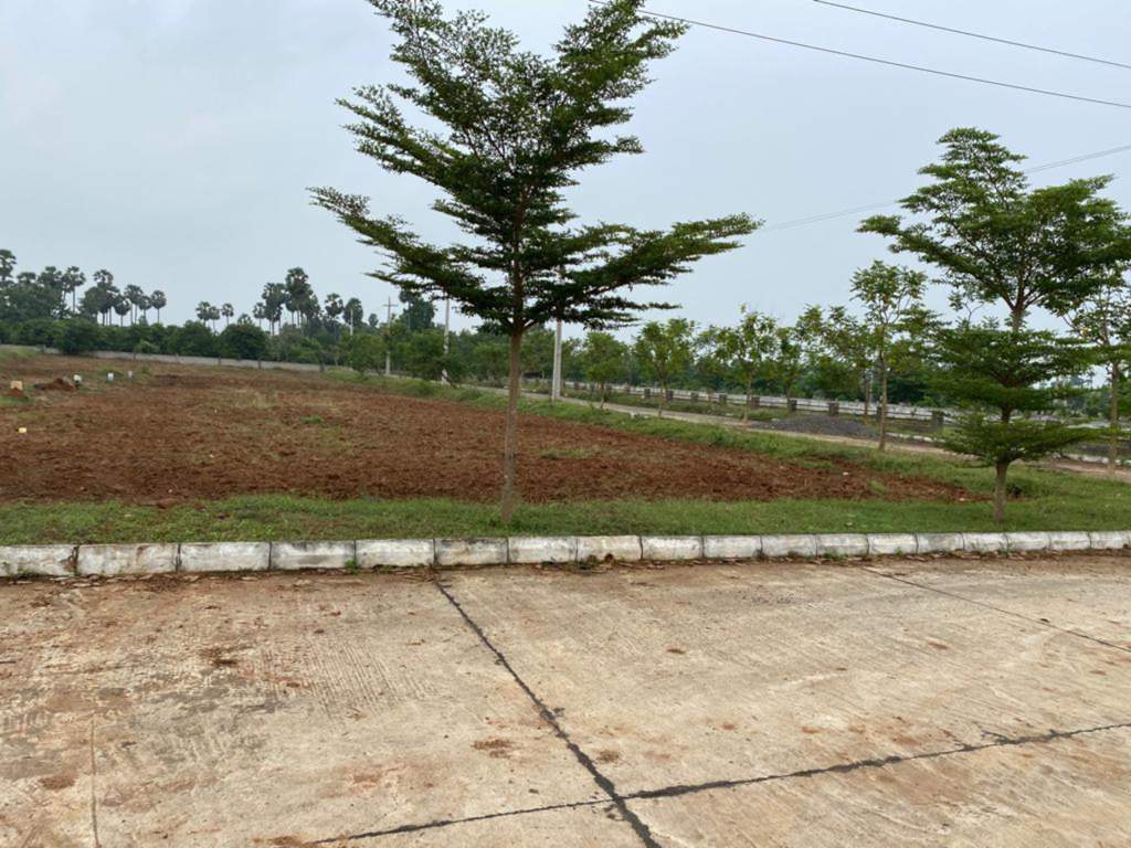  shanmukha priya Plot