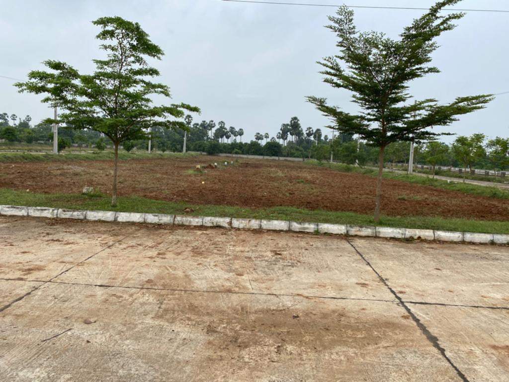  shanmukha priya Plot
