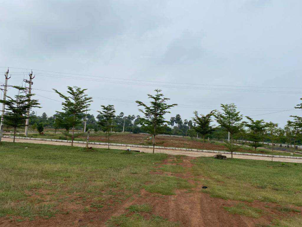  shanmukha priya Plot