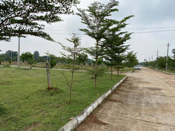 Plot shanmukha-priya Plot