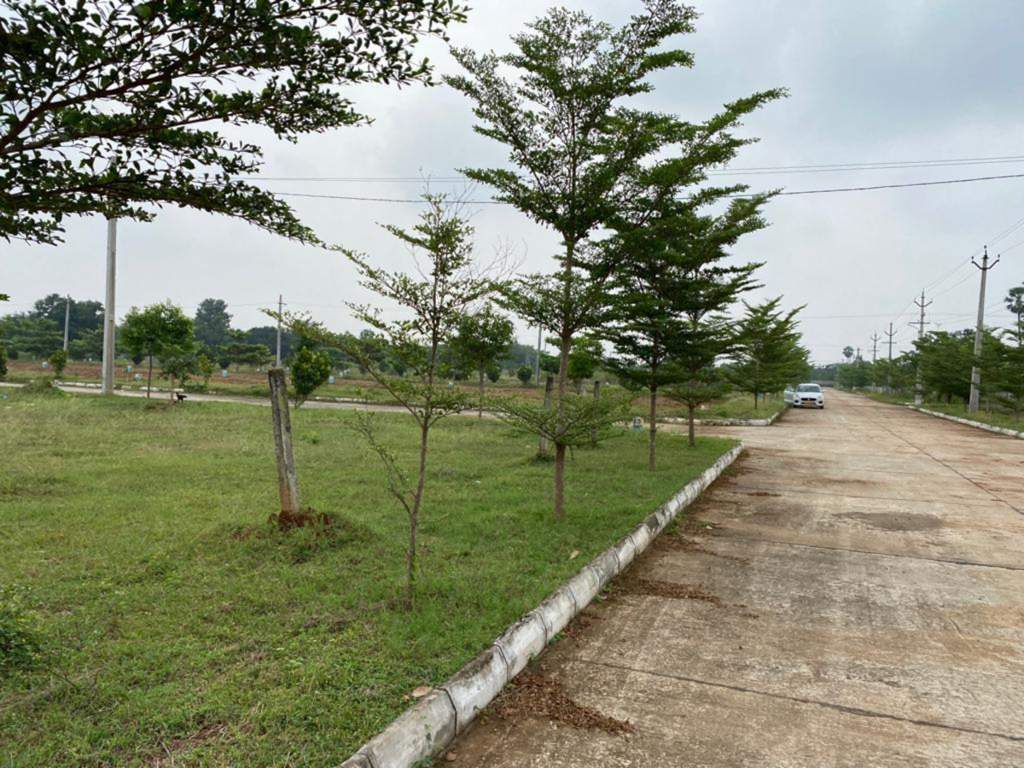  shanmukha priya Plot