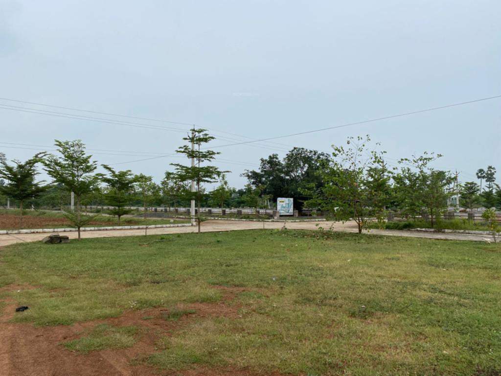  shanmukha priya Plot