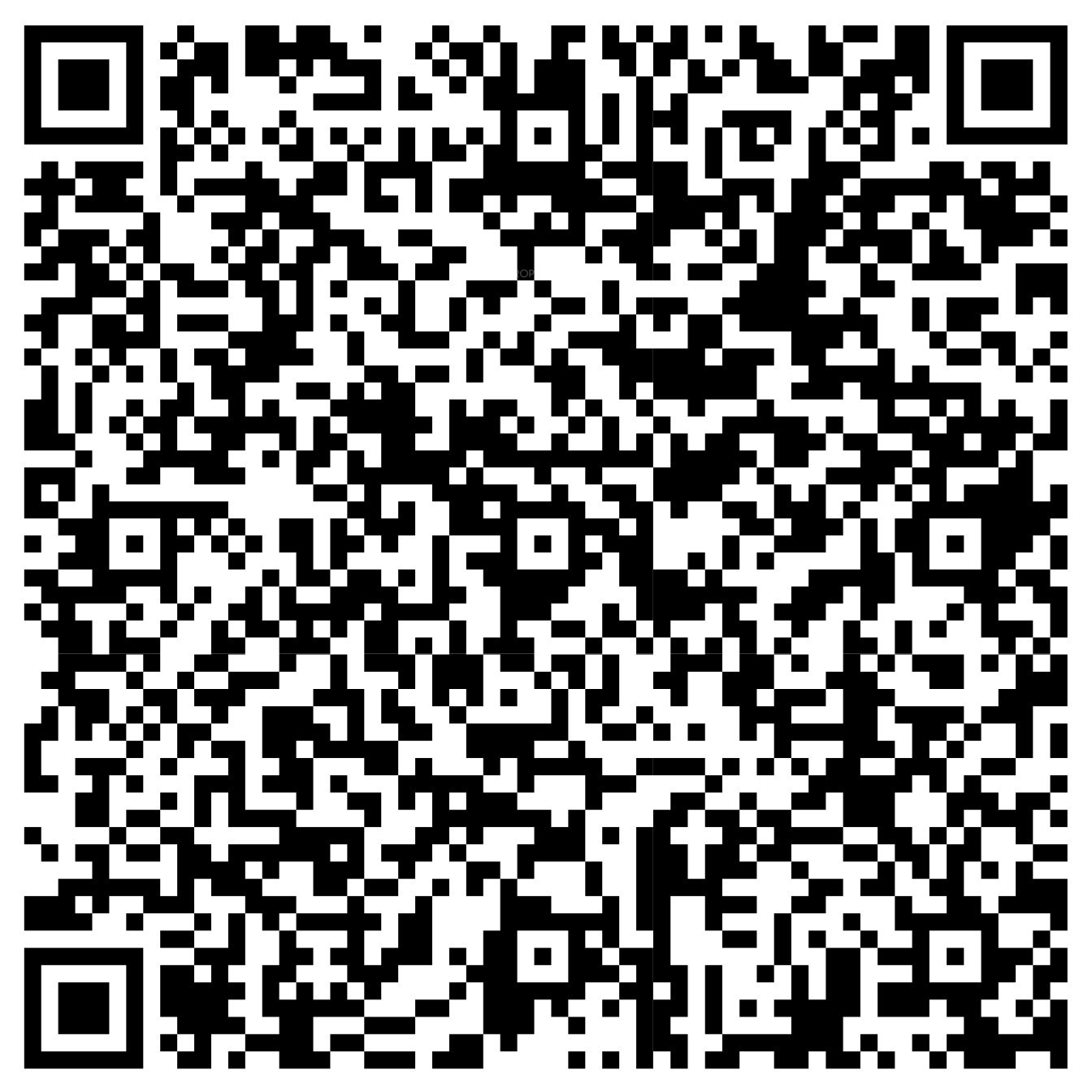 QR Image