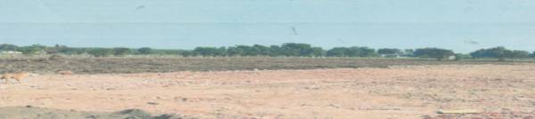  ashirwad-bunglows Elevation